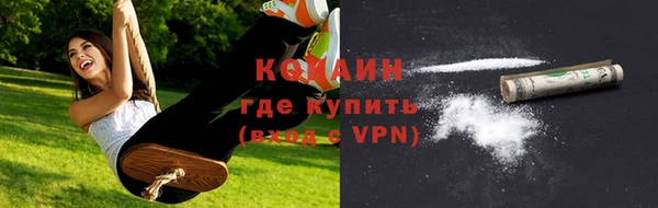 молекула духа Новозыбков