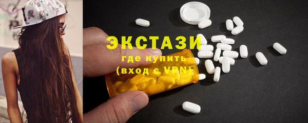 молекула духа Новозыбков