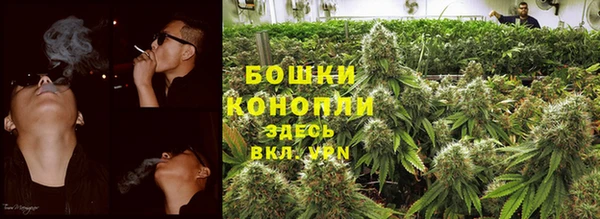молекула духа Новозыбков