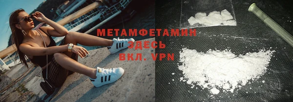 молекула духа Новозыбков