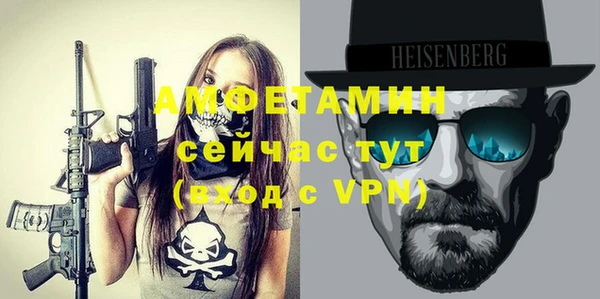 молекула духа Новозыбков