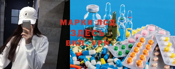 PSILOCYBIN Новодвинск