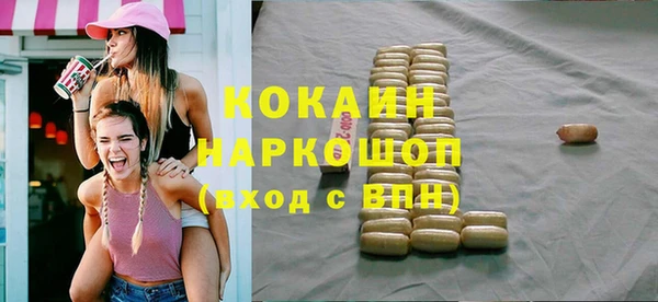 молекула духа Новозыбков