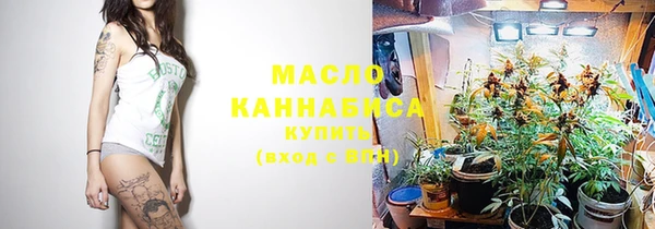 молекула духа Новозыбков
