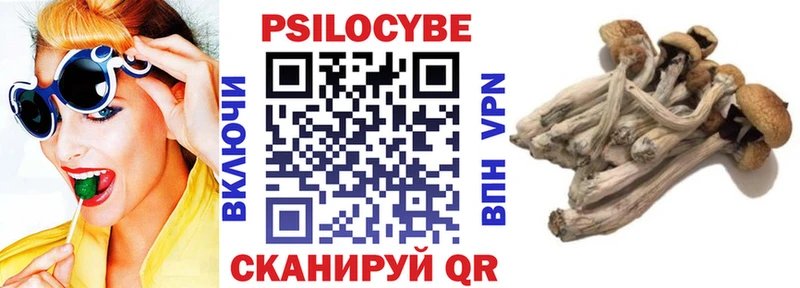 darknet наркотические препараты  Тюкалинск  Псилоцибиновые грибы мухоморы 